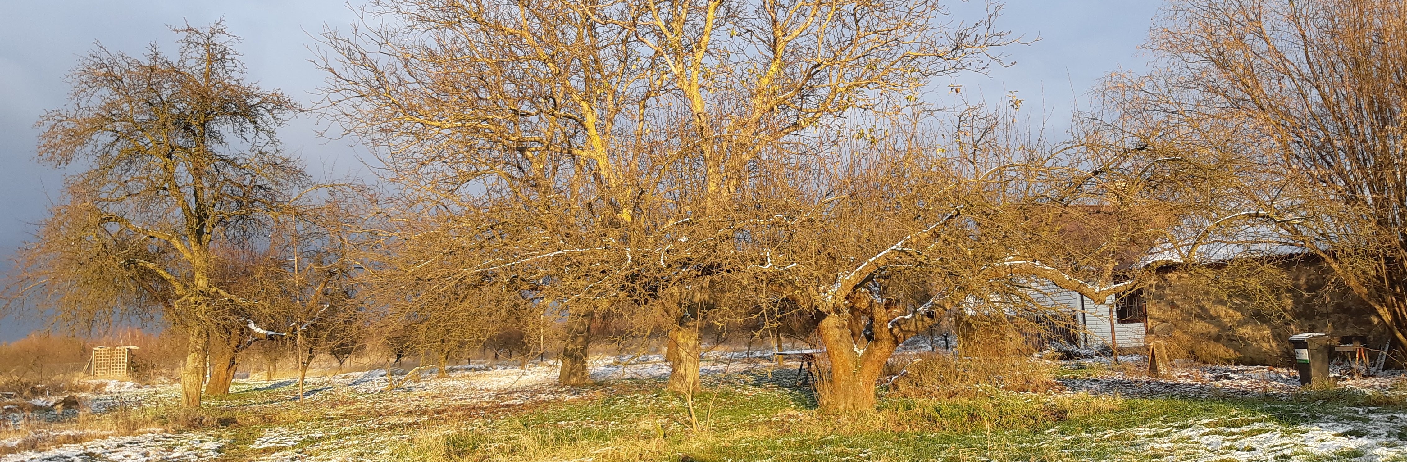 Wegner Magdalena